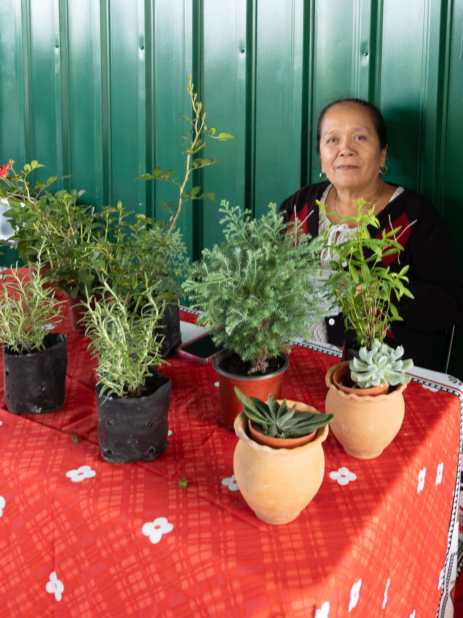 Thursday market April 17 9545